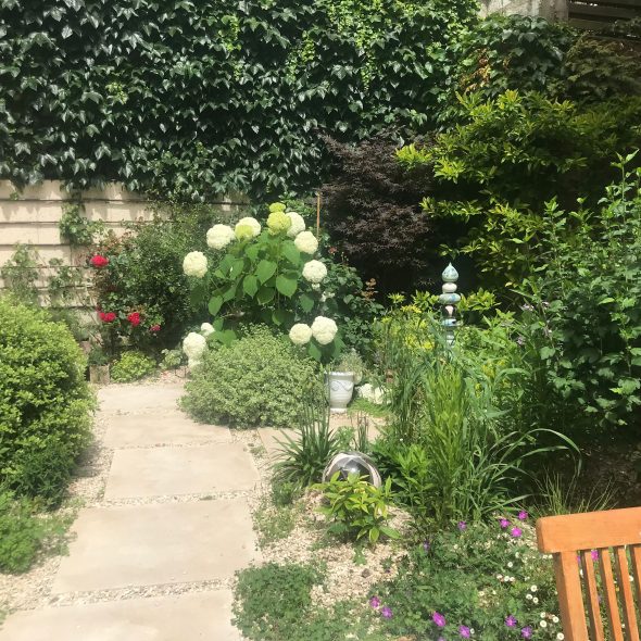 Petit jardin en centre-ville, ardoise, helixine, couvre-sol, massif, mobilier, végétaux, plantes, pas japonais, jardin réalisé par nos soins, paysagiste à angers, conception et réalisation